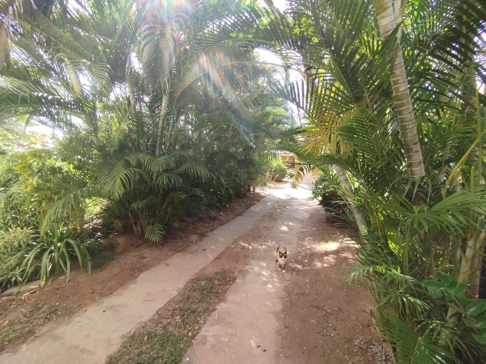 Lumiar Garden Suites E Chales Em Vilas Do Atlantico Lauro de Freitas Dış mekan fotoğraf